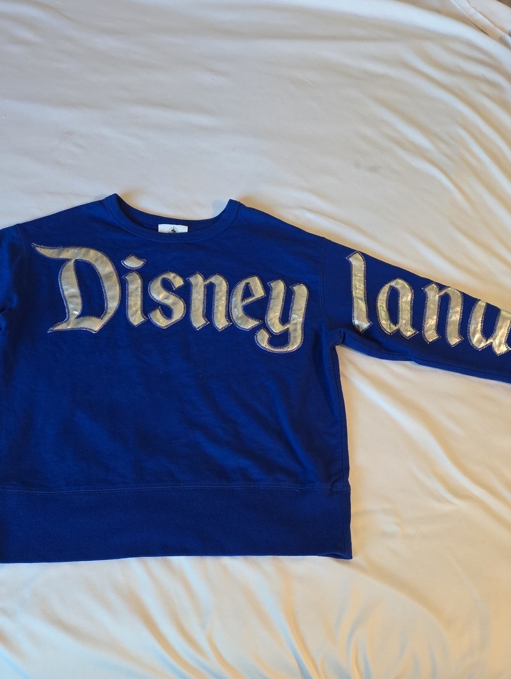 Disney Blue Sweatshirt with Silver Disneyland Script